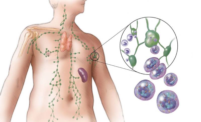 غدد لنفاوی کجاست